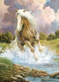 Kůň běžící řekou