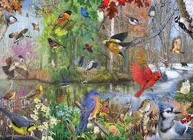 Ptáci různých ročních období