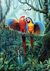 Láska v džungli