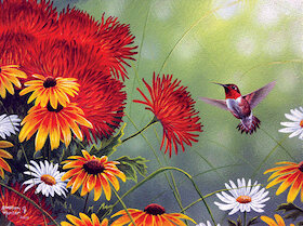 Kolibřík a červená květina