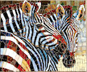 Zebry