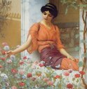 Letní květiny, 1903