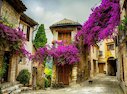 Provence, Francie