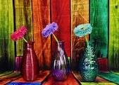 Barevné vázy s květinami
