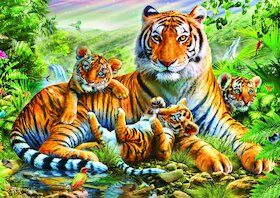 Tygr s mláďaty