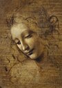 Hlava ženy, 1506–1508