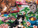 Kočky mezi dílky puzzle