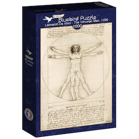 Vitruviánský muž, 1490