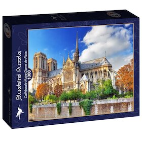 Pohled na katedrálu Notre‐Dame v Paříži
