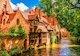 Bruggy, Belgie