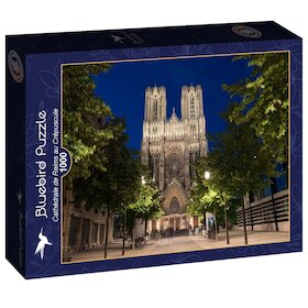 Katedrála v Remeši za soumraku