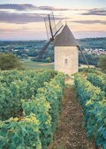 Mlýn Sorine na vinici Santenay, Burgundsko
