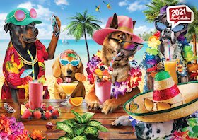 Psi pijící smoothie na tropické pláži