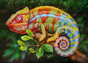 Chameleon