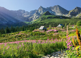 Hala Gąsienicowa, Tatry