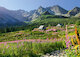 Hala Gąsienicowa, Tatry