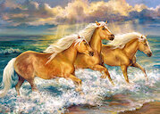 Koně na pláži