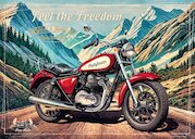 Feel the Freedom