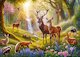 The Forest Heart