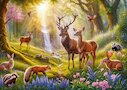 The Forest Heart