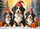 Holiday Puppies
