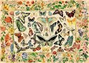 Botanical World