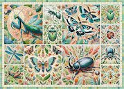 Mozaika hmyzího světa