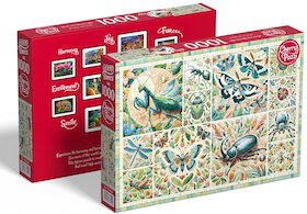 Mozaika hmyzího světa