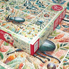 Mozaika hmyzího světa