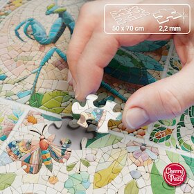 Mozaika hmyzího světa