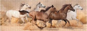 Koně běžící písečnou bouří