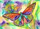 Barevný motýl, akvarel