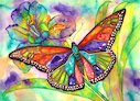 Barevný motýl, akvarel