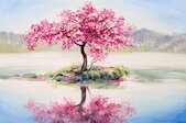 Kvetoucí sakura