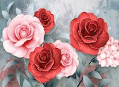 Růžové a červené růže