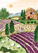 Provence