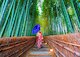 Asijská žena v bambusové lese
