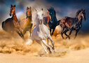 Koně běžící pouští