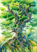 Strom života