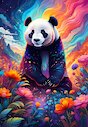 Barevná panda