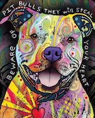 Pitbul